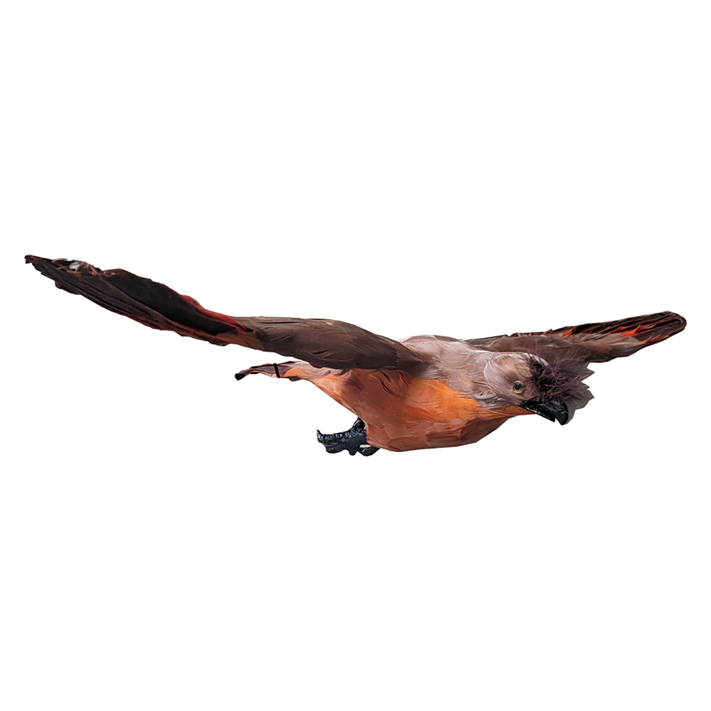 【高額売筋】 愛農 鳥追い鷹 中 FH-59C | 福農産業株式会社 その他